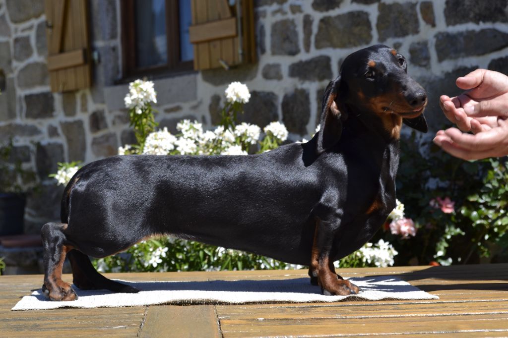 Pipelette d'horteval